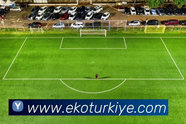 多媒体互动体验